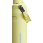 IceFlow™ Bottle with Fast Flow Lid | 16 OZ - Pomelo