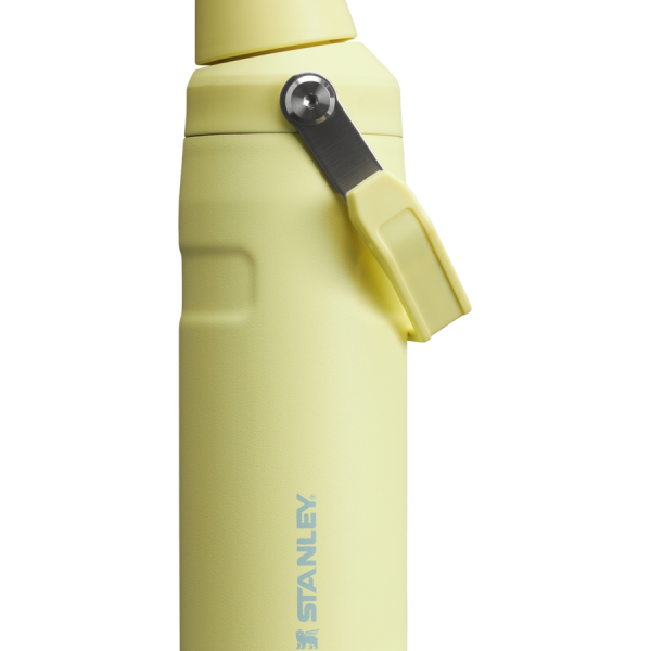IceFlow™ Bottle with Fast Flow Lid | 16 OZ - Pomelo