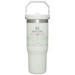 The IceFlow™ Flip Straw Tumbler | 30 OZ - Pale Stone Winterscape